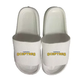 Toronto Sceptres Team Slides