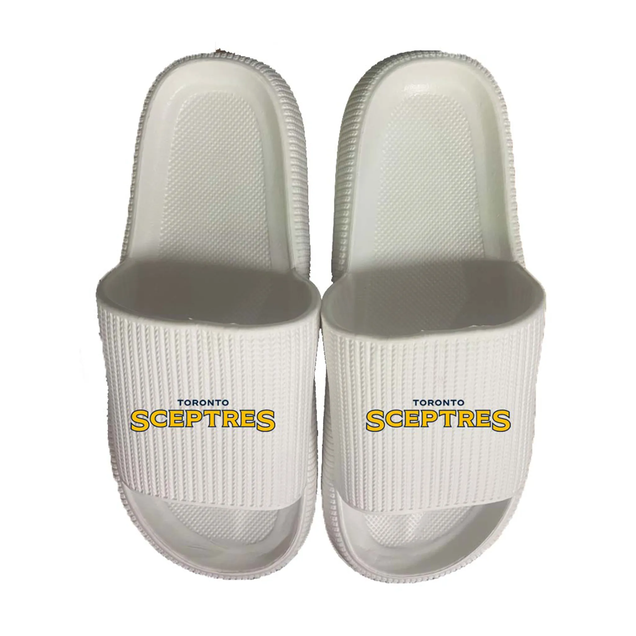 Toronto Sceptres Team Slides